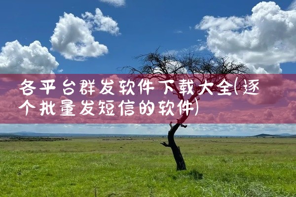 各平台群发软件下载大全