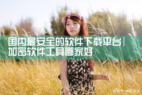 国内最安全的软件下载平台