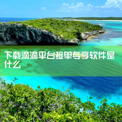 跑滴滴接单要下载滴滴出行平台的官方司机端软件，不同地区和车型对应的版本不同一、核心接单软件1）官方叫滴滴司机，部分地区显示滴滴车主，功能一样。安卓能在应用商店、华为应用市场、小米应用商店等正规平台搜下,