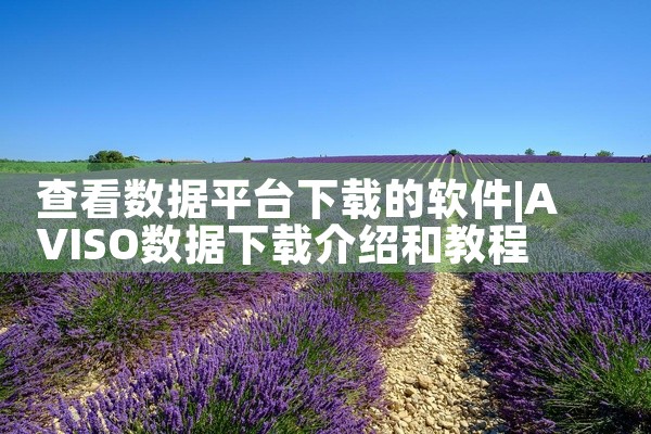 查看数据平台下载的软件