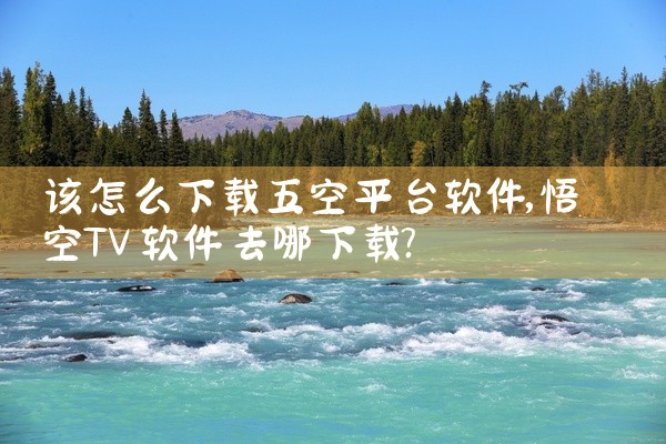 该怎么下载五空平台软件