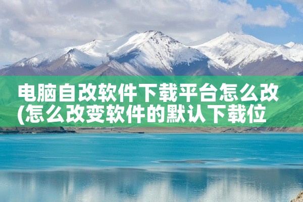 电脑自改软件下载平台怎么改