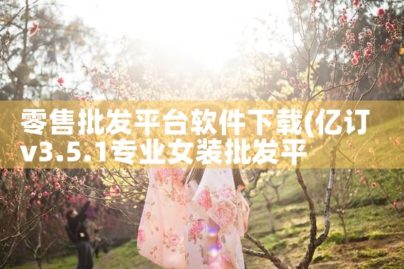 零售批发平台软件下载