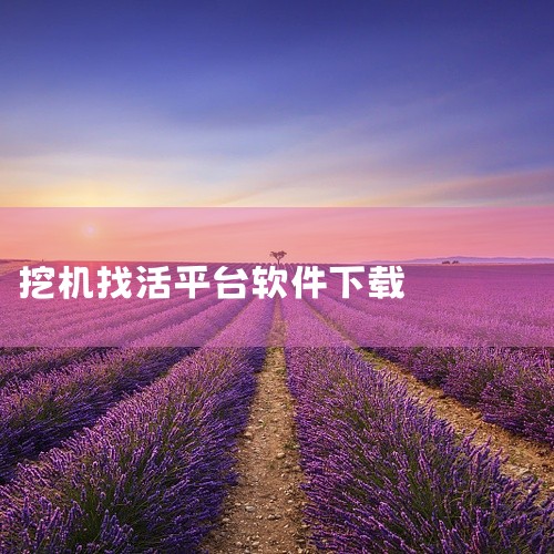 企业回判断一家仿真软件公司的好坏，不只是看服务价格，还要考虑服务效果，服务专业度，服务效率等很多因素。建议可以多对比几家公司看看。推荐莎益博工程系统开发(上海)有限公司给您了解下。莎益博工程系统开发(|