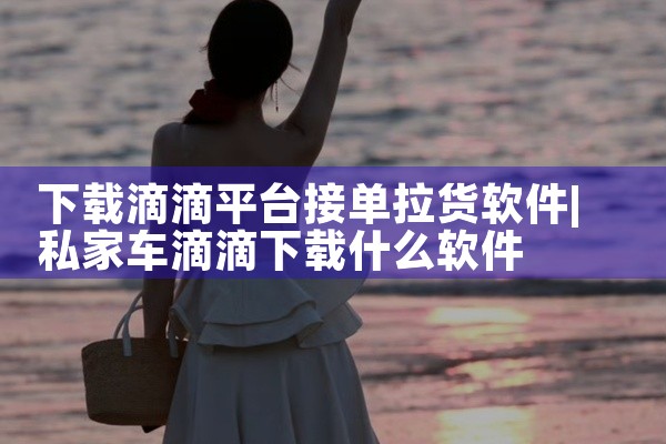 下载滴滴平台接单拉货软件