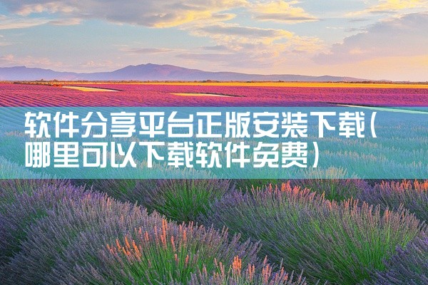 软件分享平台正版安装下载