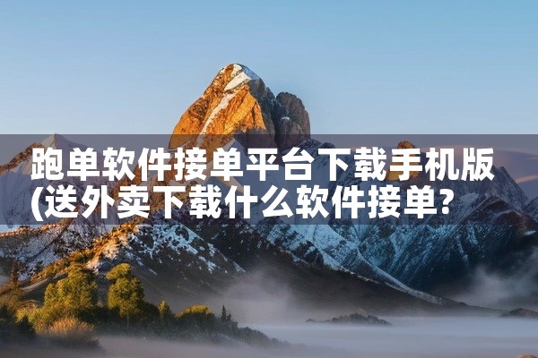 跑单软件接单平台下载手机版