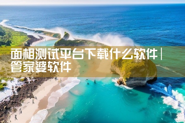 面相测试平台下载什么软件