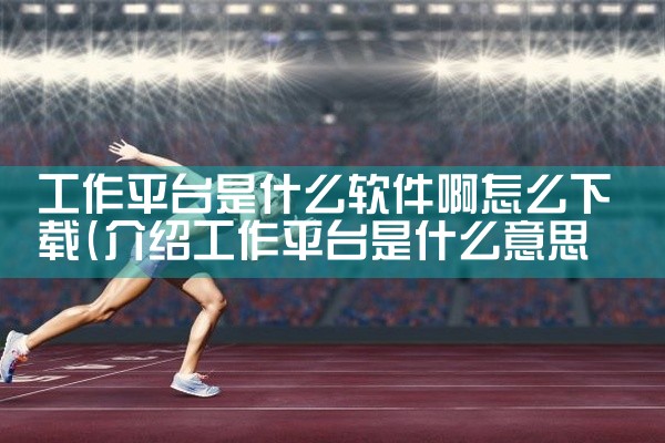 工作平台是什么软件啊怎么下载
