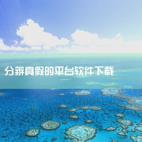 选择建议：单一品牌用户优先使用专用App（如ABC防伪查询App）；多品牌验证需求可选择跨平台工具（如防伪查询助手）；需快速鉴别且关注附加服务的用户可尝试VietCheck；日常消费场景推荐使用集成价|